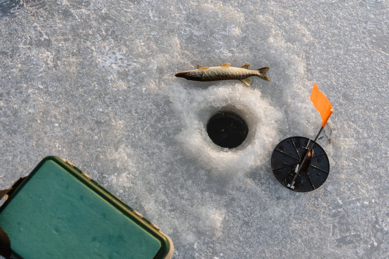 Ice fishing scene with caught fish, hole, and equipment on frozen lake surface.